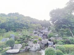 -东莞植物园