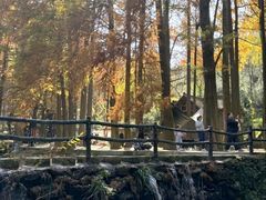 -波尔登森林公园