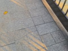 -紫金山天文台