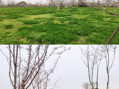 -良渚古城遗址公园