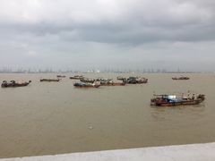景点-大湾区中央湿地公园