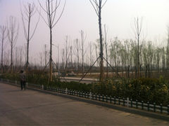 iphone_upload_pic-东营·森林乐园