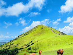 -大姆山草场