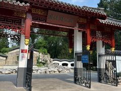 -团结湖公园