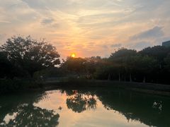 -福田红树林生态公园