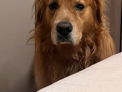 -邢大夫动物医院