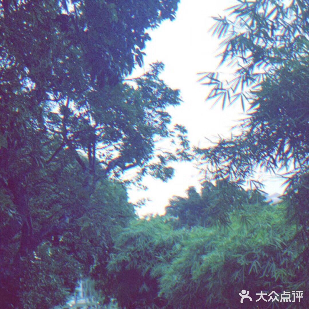 一善染心 万劫不朽 百灯旷照 千里通明