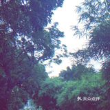 一善染心 万劫不朽 百灯旷照 千里通明