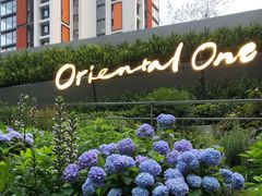 -中興路一號Oriental One