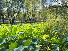 -东坡赤壁风景名胜区
