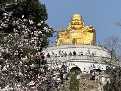 -苏州上方山国家森林公园