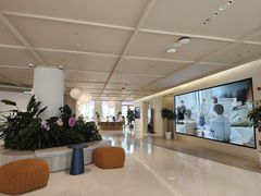 -观心实验室·心理咨询(上海旗舰店)