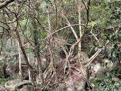 -七仙岭温泉国家森林公园