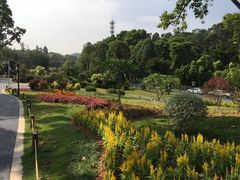 -东莞植物园