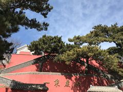 -妙峰山风景名胜区