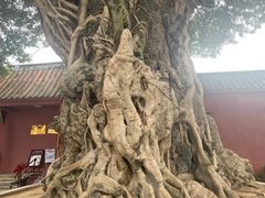 -闽粤南澳总镇府