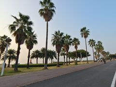 -椰风寨