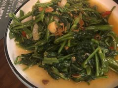 飞天空心菜-苏梅花园(群星城店)