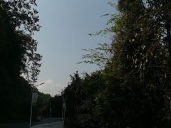 -孔雀湖生态旅游区