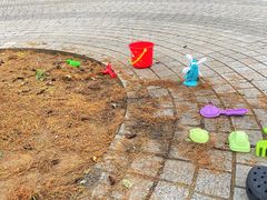 -大连植物园