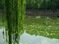 android_upload_pic-黄继光纪念馆