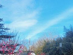 -莲花池公园