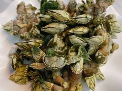 白灼狗抓螺-哈味食店(外伶仃岛店)