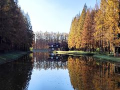 -黄海国家森林公园