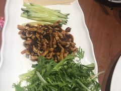 -东北人粗粮饺子坊(南山店)