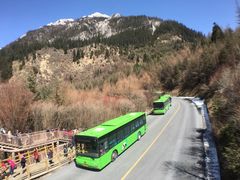 -九寨沟-树正沟