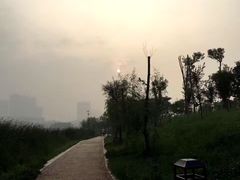 -眉山湿地公园(东坡区)