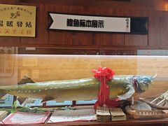 -福成厚江鱼壹号黑金冠好店(群力店)