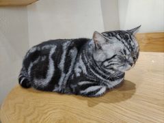 -藏猫猫咖啡主题馆(中央大道店)