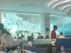 -帝企鹅自助餐厅•儿童岛•真企鹅(长隆企鹅酒店)