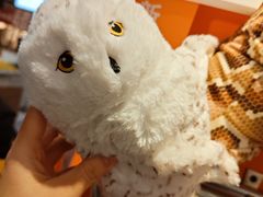 -宜家家居(四元桥商场店)