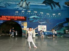 -蓬莱欧乐堡海洋极地世界