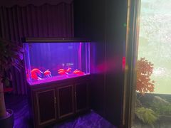 -晴川足道·商务水疗SPA(东郊记忆店)