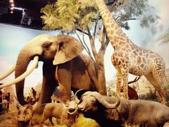 -陕西自然博物馆