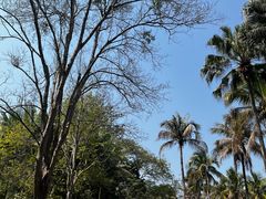 -中国科学院西双版纳热带植物园