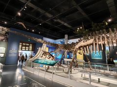 -国家自然博物馆