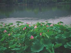 -云龙湖旅游景区