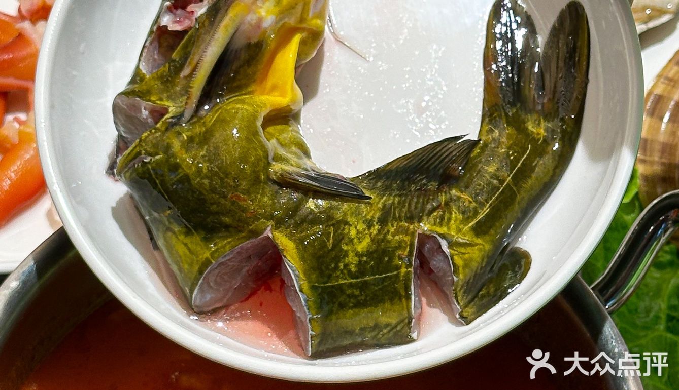 仿佛来到水族馆用餐🐠上百款海鲜火锅
