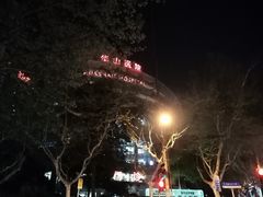 -复旦大学附属华山医院(总院)