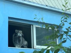 -青藏高原野生动物园