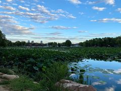 -长春市南湖公园