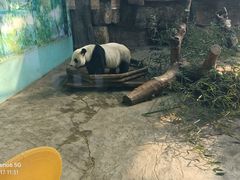 -石家庄市动物园