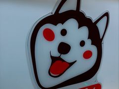 -Husky Go! 哈士奇体验馆·宠物咖啡厅狗咖