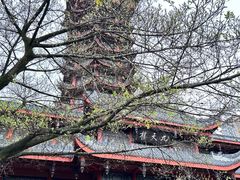 -塔子山公园