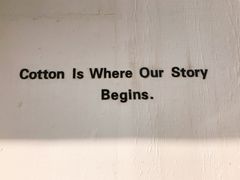 -COTTON CAFE(德信·中外公寓店)