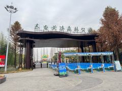 -黄海国家森林公园